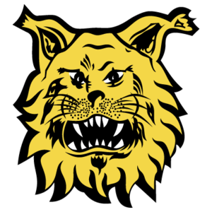 埃尔维斯B队 vs 穆莎