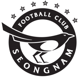 城南FC vs 天安城