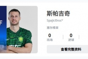 已补报完成？中足联官网透露，斯帕吉奇加盟国安队
