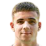 卡米尔·内格里